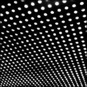 Beach House: Bloom