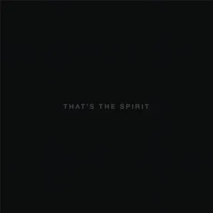 Bring Me the Horizon: That's The Spirit
