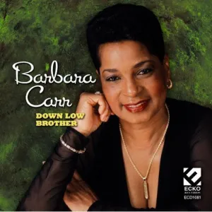 Carr, Barbara: Down Low Brother