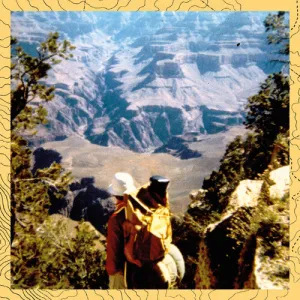 Dunn, David: Music, Language & Environment: Environmental Sound Works 1973-1985