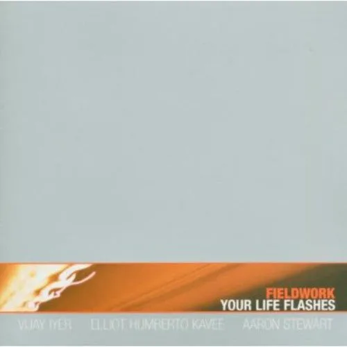 Fieldwork: Your Life Flashes