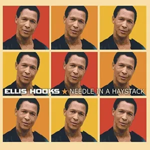 Hooks, Ellis: Needle in a Haystack