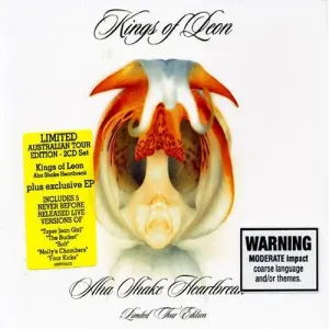 Kings of Leon: A-Ha Shake Heartbreak
