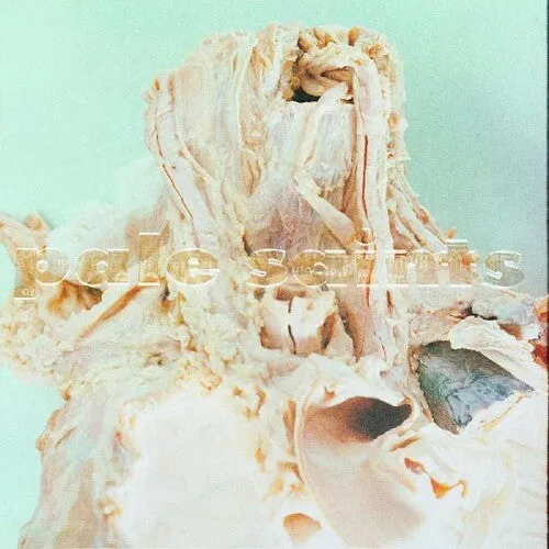 Pale Saints: In Ribbons
