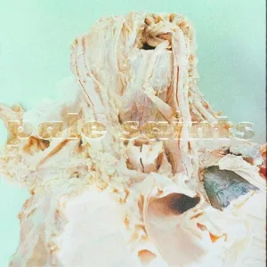 Pale Saints: In Ribbons