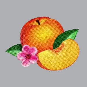 Phoenix: Bankrupt!