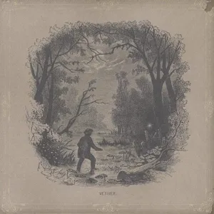 Vetiver: Vetiver