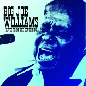 Williams, Big Joe: Blues from the South Side